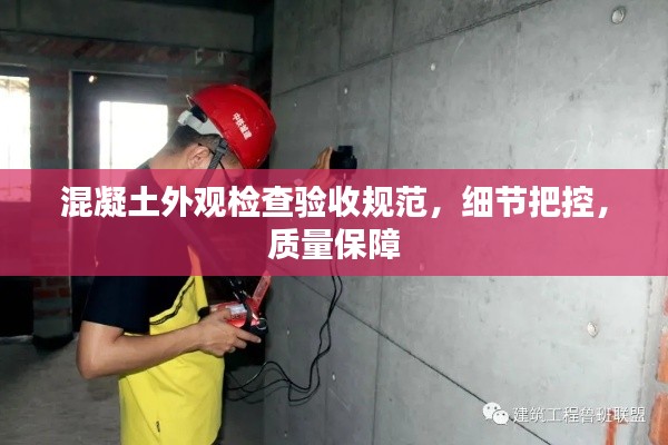 映月读书 第3页