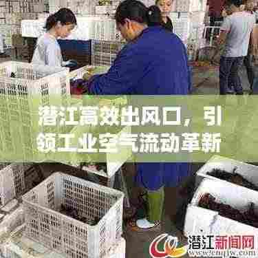 潜江高效出风口，引领工业空气流动革新篇章