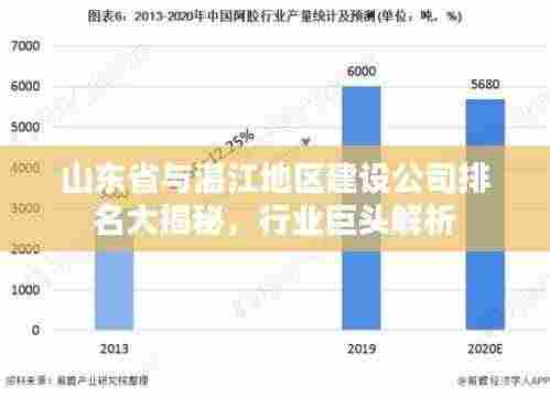 山东省与湛江地区建设公司排名大揭秘，行业巨头解析