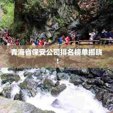 举步如飞 第3页