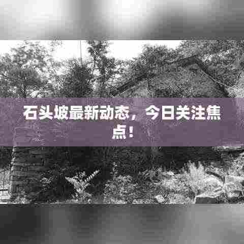 反朴归真 第3页