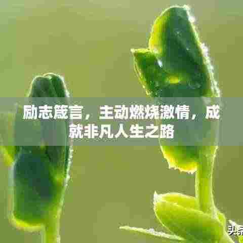 励志箴言，主动燃烧激情，成就非凡人生之路