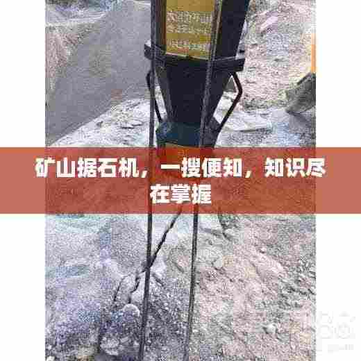 刚毅木讷 第3页