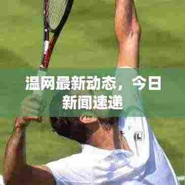 温网最新动态，今日新闻速递
