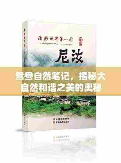 仪表堂堂 第3页
