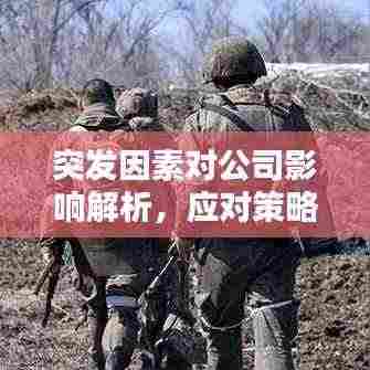 突发因素对公司影响解析，应对策略与机遇转化之道