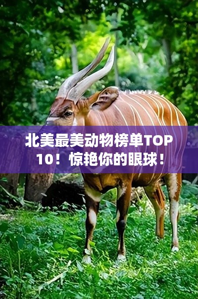 手舞足蹈 第3页