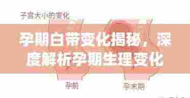重张旗鼓 第3页