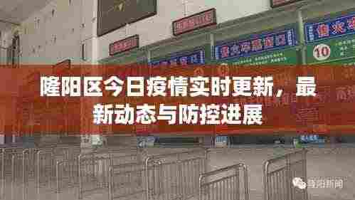 隆阳区今日疫情实时更新，最新动态与防控进展