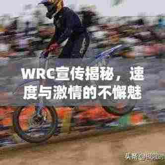水浄鹅飞 第3页