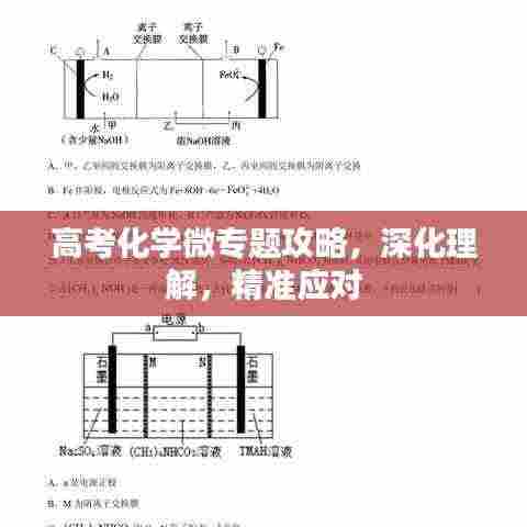 飞箭如蝗 第3页