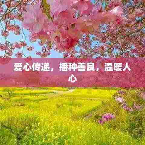 展翅高飞 第3页