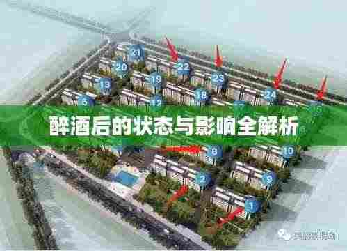 醉酒后的状态与影响全解析