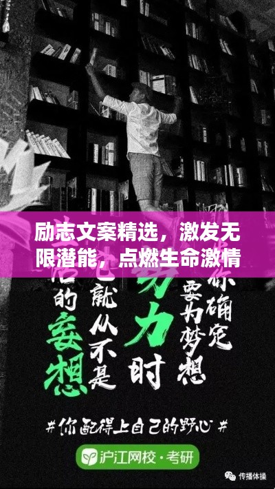 飞潜动植 第3页