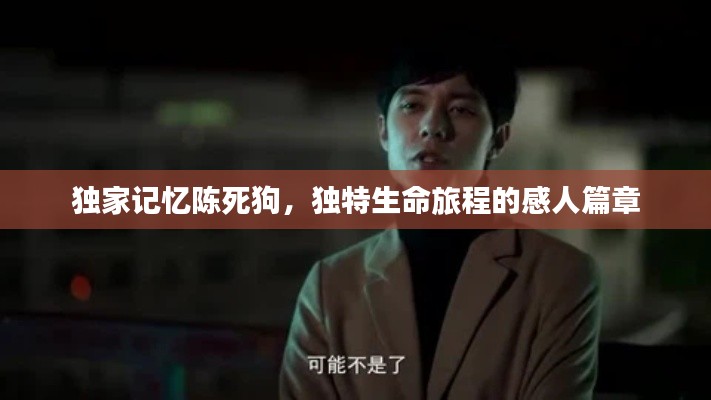 自由自在 第3页